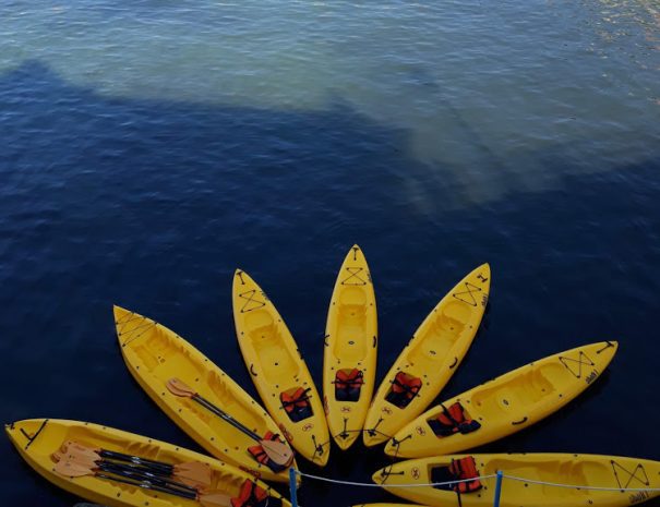 Escursione Kayak&Snorkeling (2)